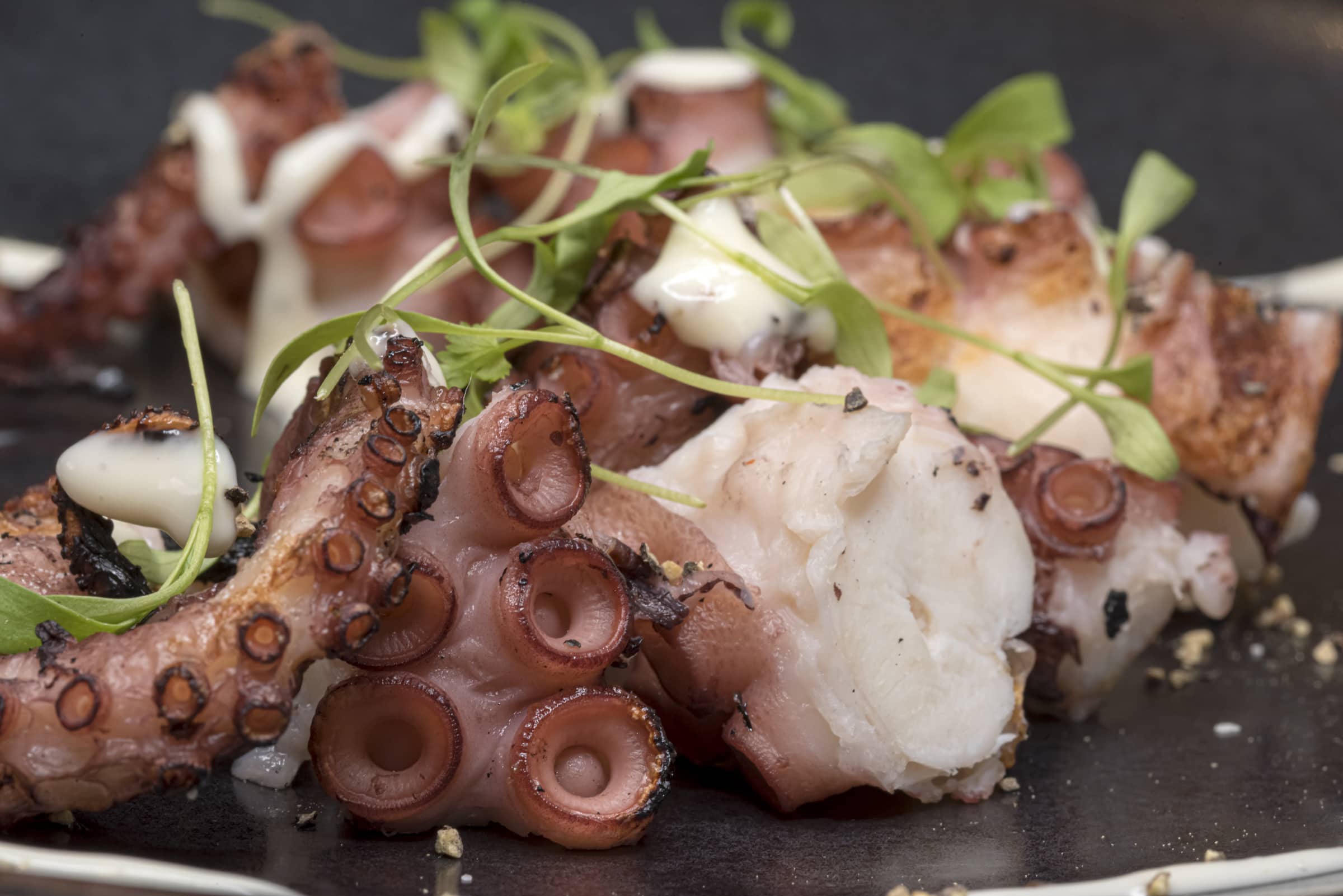 Octopus Izakaya Plate