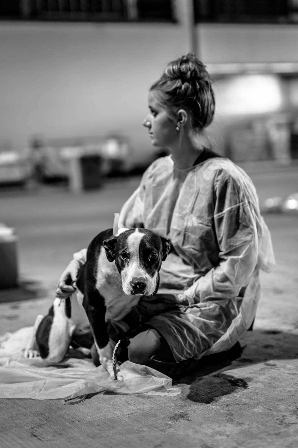 candids of a caretaker and puppy during hurricane Harvey