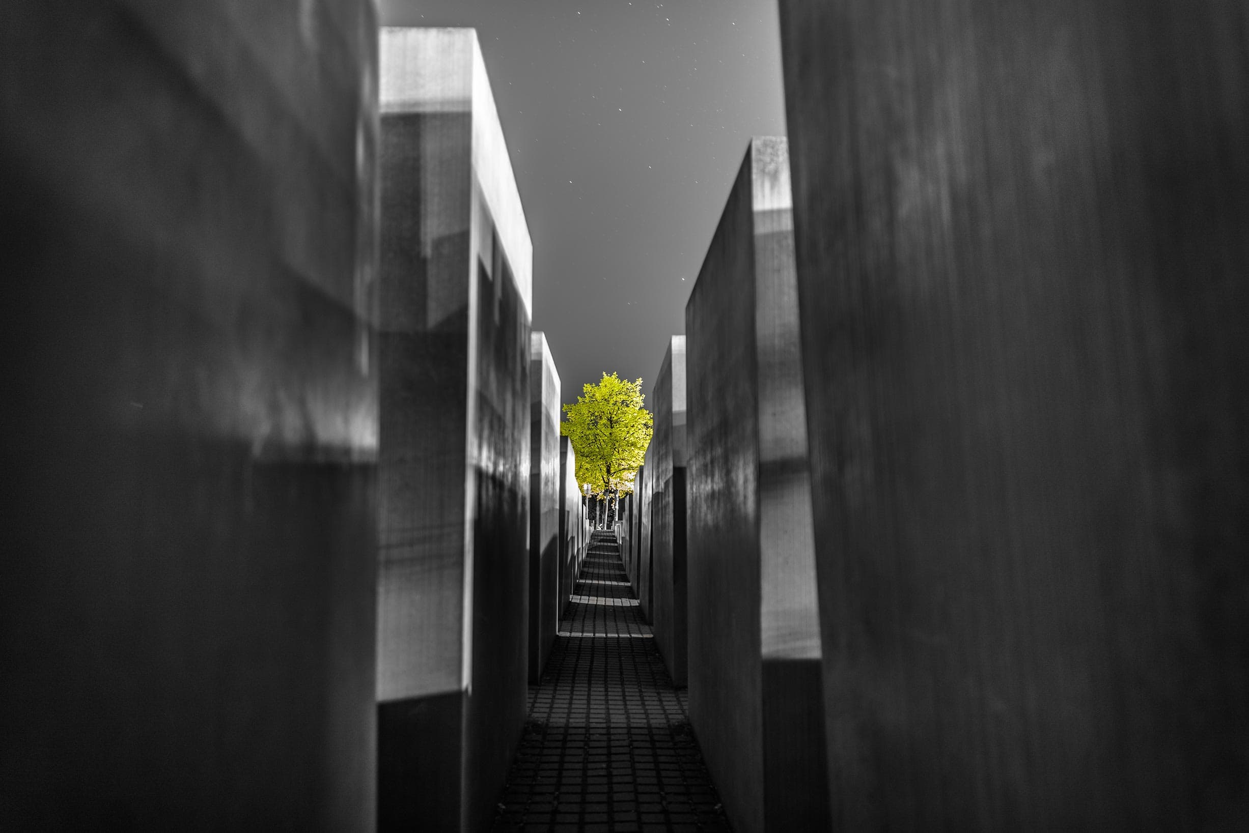 A black and white photo of a tree in the middle of a row of bricks.