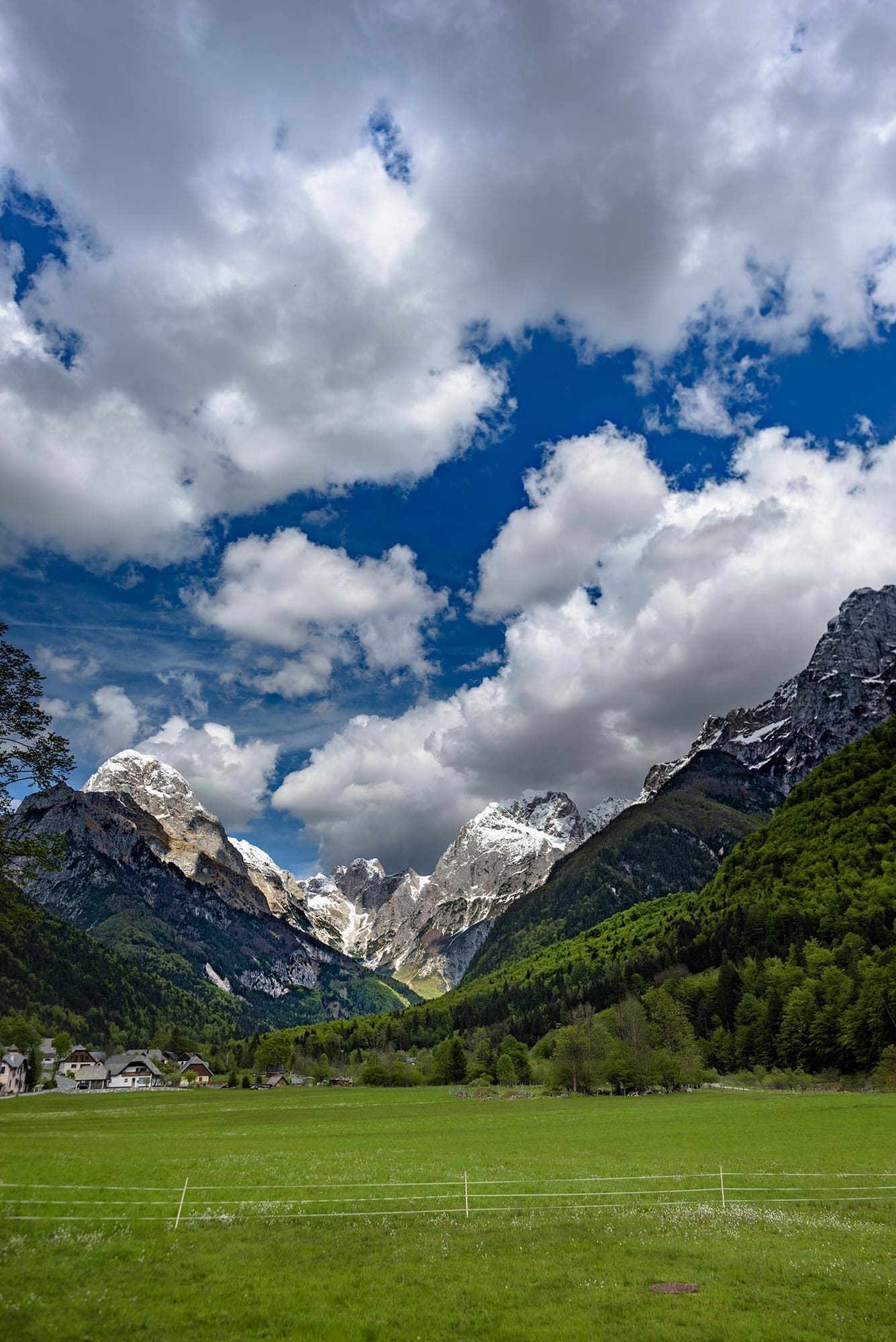 A green field with mountains in the background.