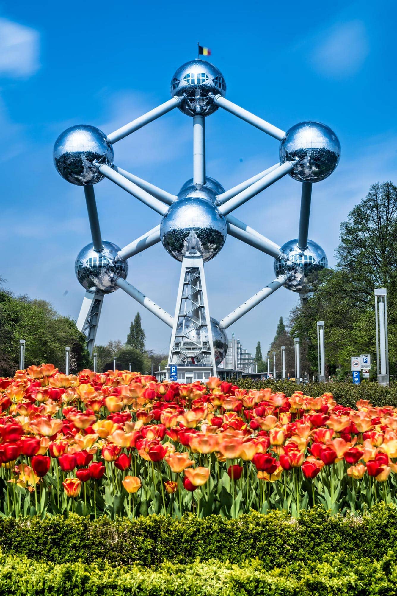A group of tulips in front of the eu tower in brussels, belgium.