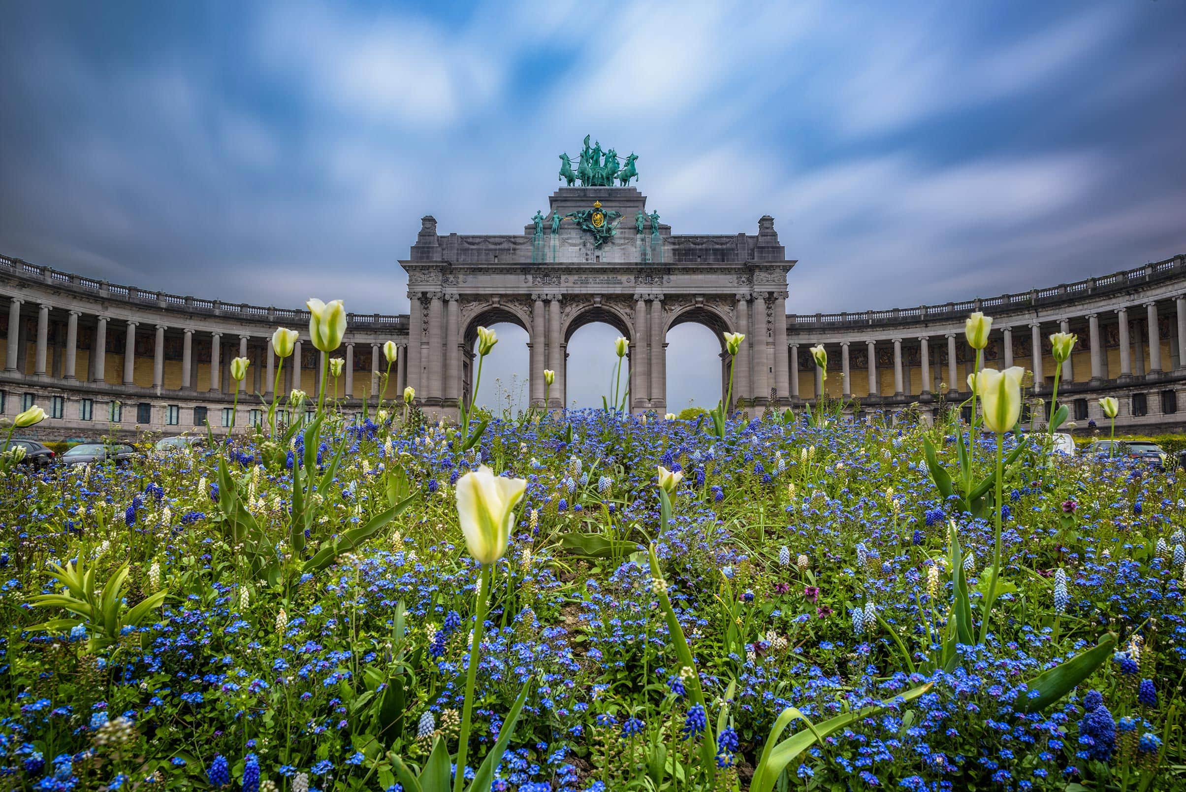 A blue flower field with a statue in the background.