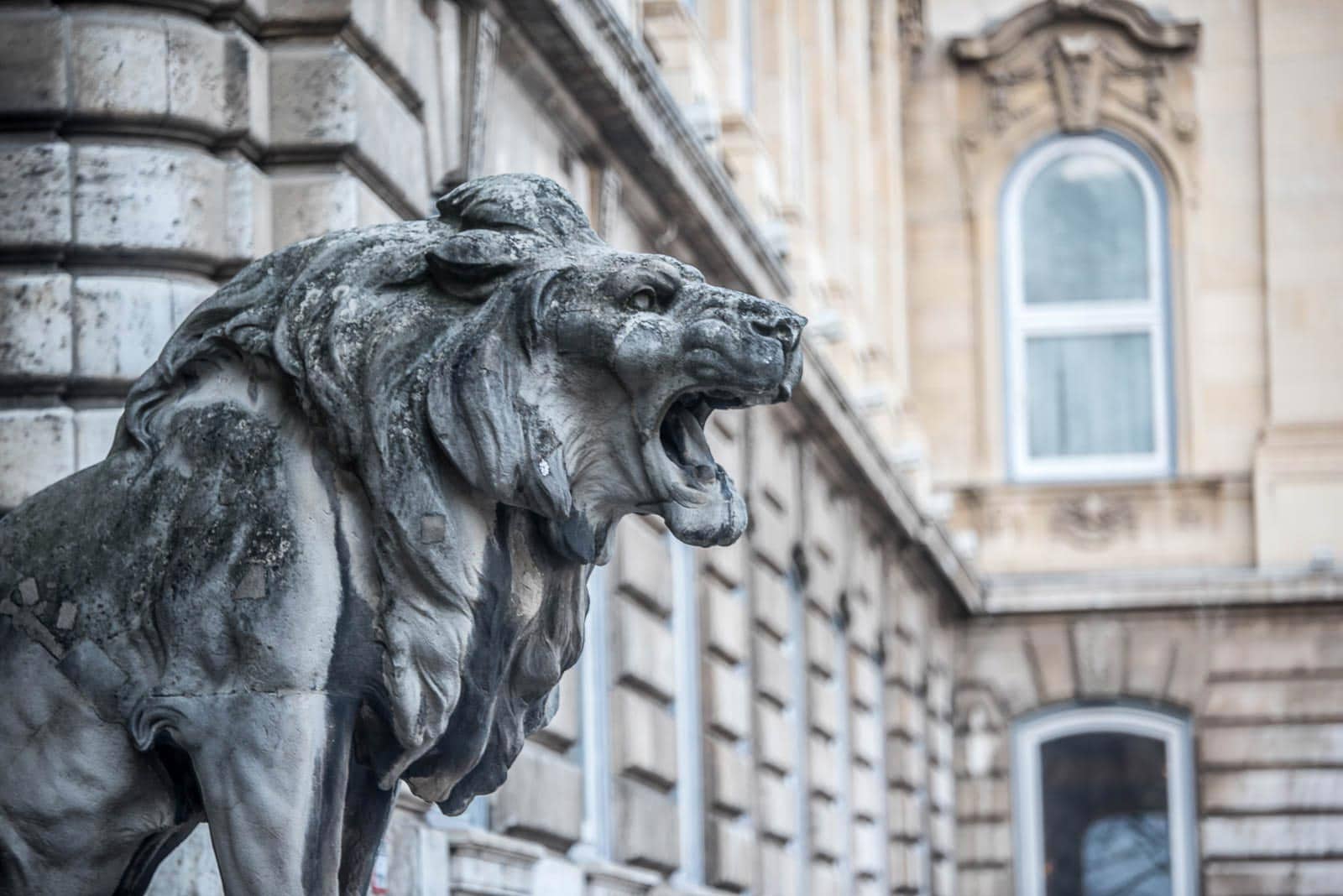 A statue of a lion in front of a building.