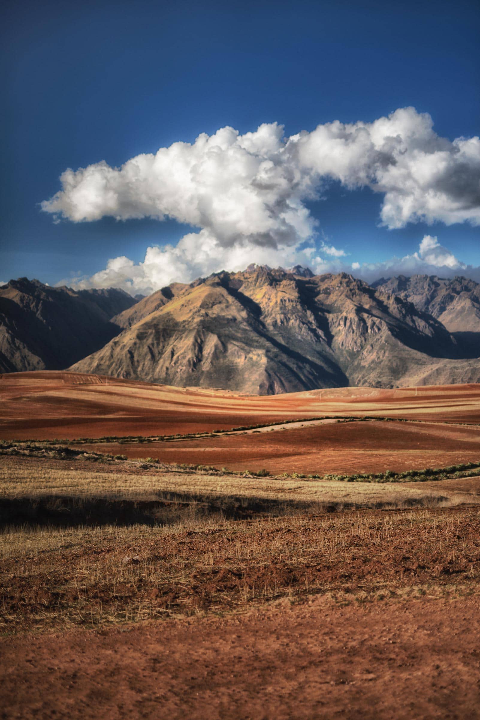 A desert landscape with mountains and clouds in the background.