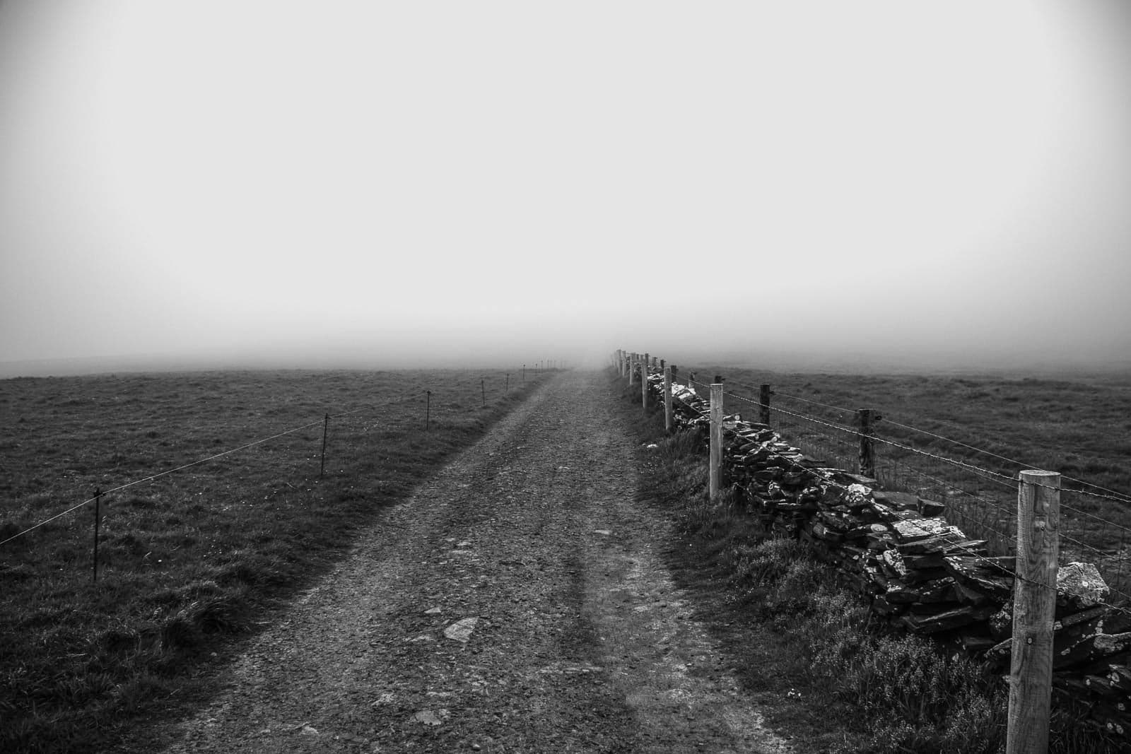 A black and white photo of a dirt road in the fog.
