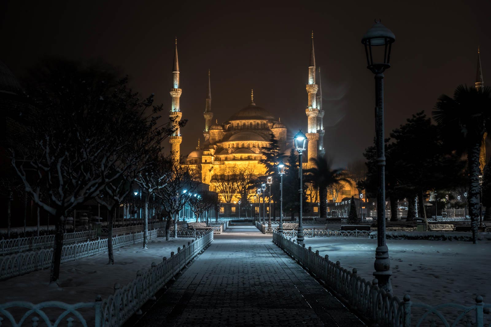 The blue mosque in istanbul at night.