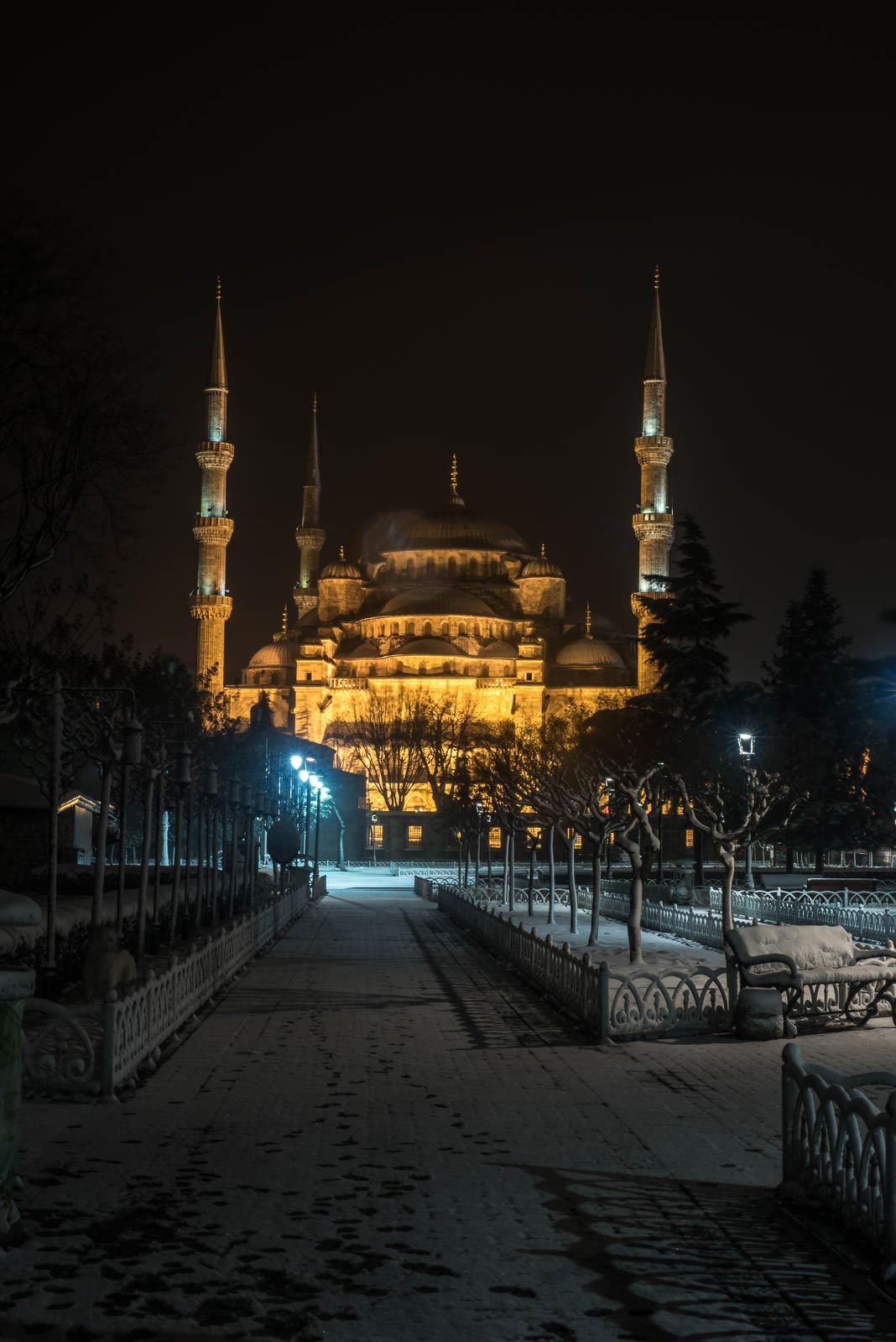 The blue mosque in istanbul at night.