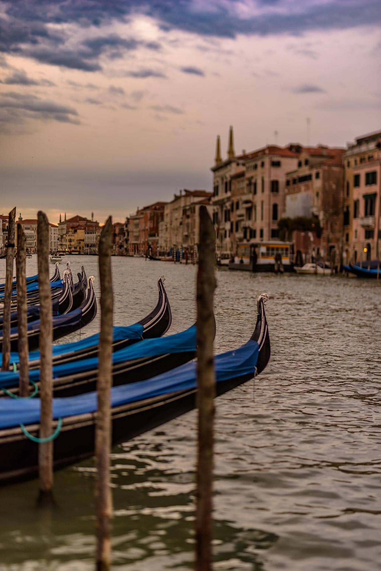 A group of gondolas docked in a waterway.