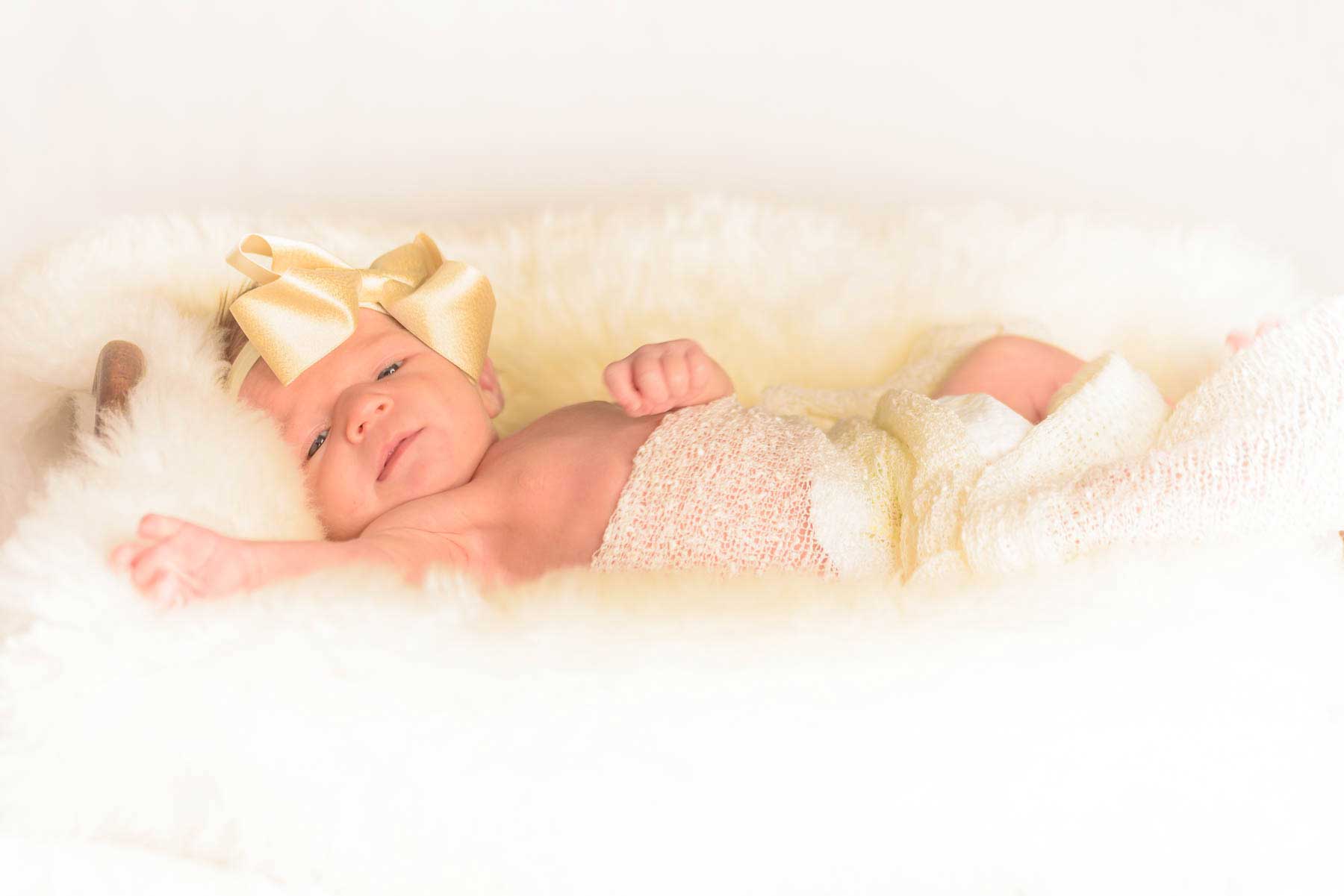 Newborn photo